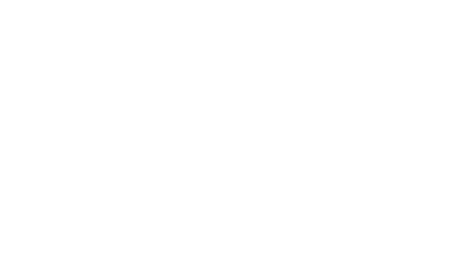 Daily Business Post